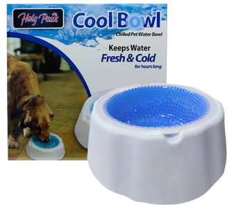 Holy Paws Cool Freezable Pet Chilled Water Bowl For Dog